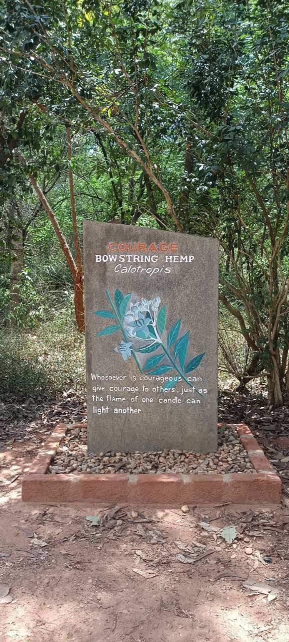 India pt.4: Auroville (Evolution)