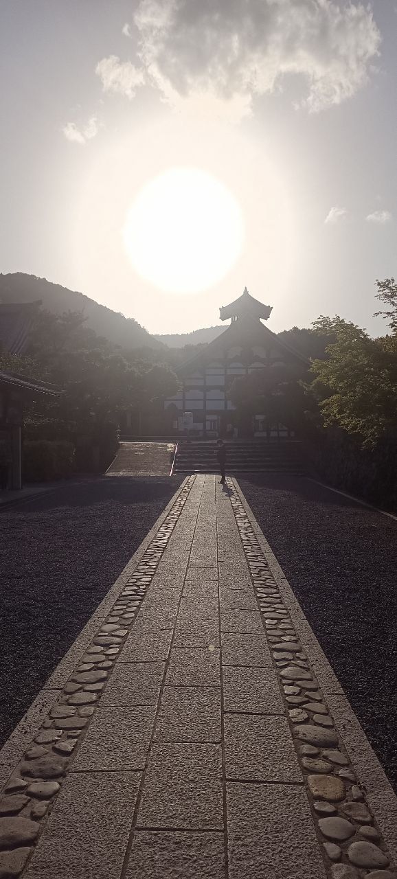 Japan pt.2 - Kyoto Tranquillity