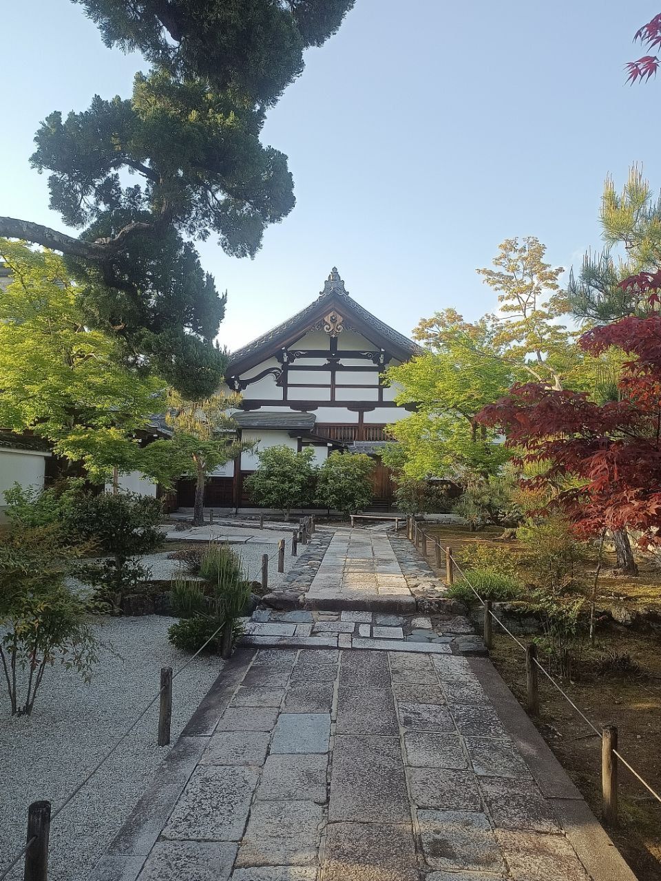 Japan pt.2 - Kyoto Tranquillity
